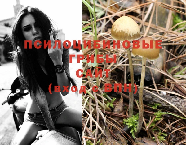 MESCALINE Кукмор