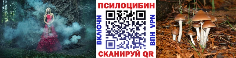 Псилоцибиновые грибы MAGIC MUSHROOMS  Купить  Аксай 